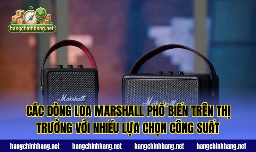 Các dòng loa Marshall phổ biến trên thị trường với nhiều lựa chọn công suất